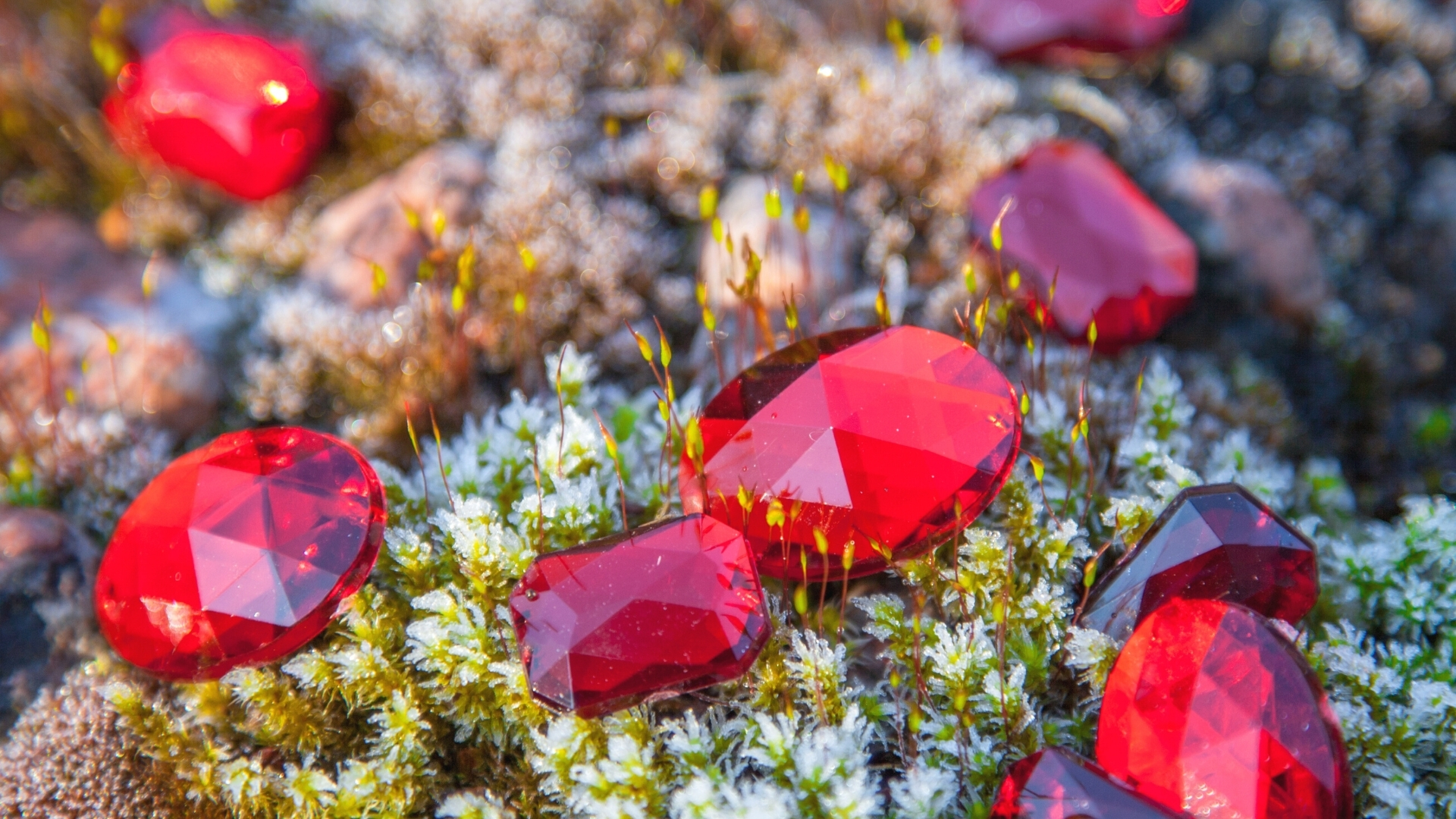 10 fascinating gemstone facts about the 5 cardinal gemstones: emerald, amethyst, diamond, sapphire and ruby - The Fashion Fabrique